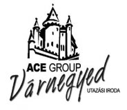 ace-group-logo
